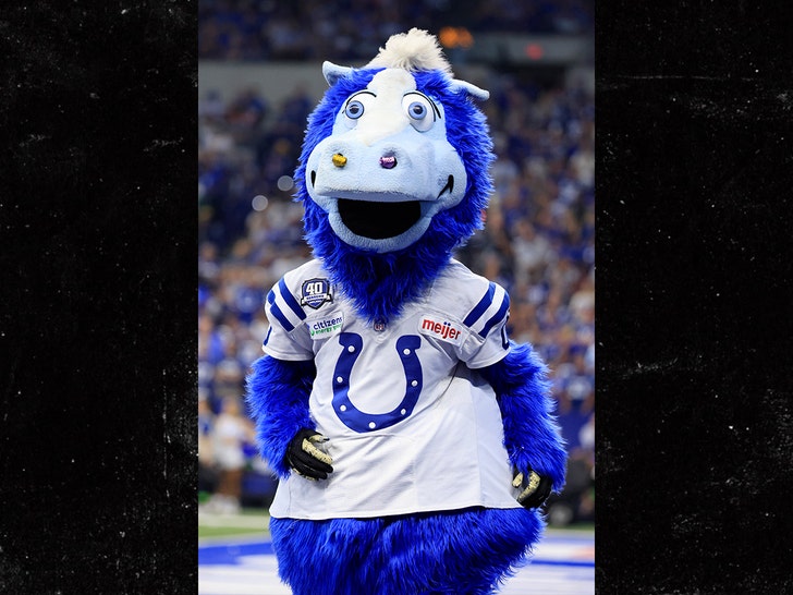 colts mascot getty 1