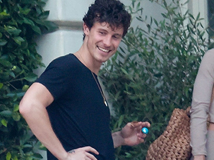 0513-Shawn-Mendes-Cut-Finger-SUB