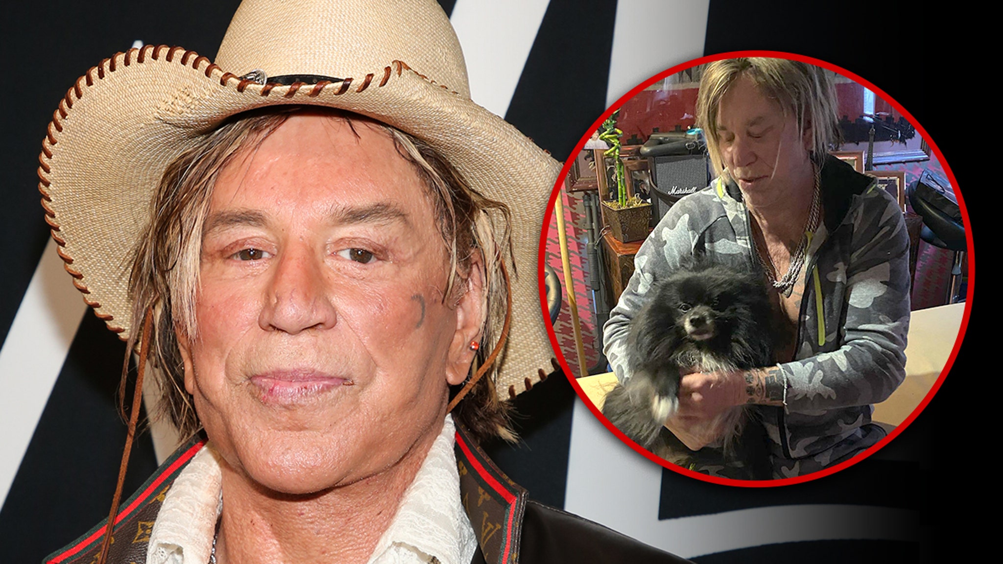 Mickey Rourke's Dog Needs Heart Surgery the Actor Can't Afford