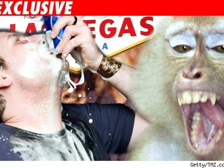 Monkey and a guy drinking a beer