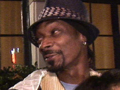 0510-snoop-lion-tmz