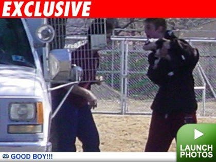 0222_carter_dogs_launch-1