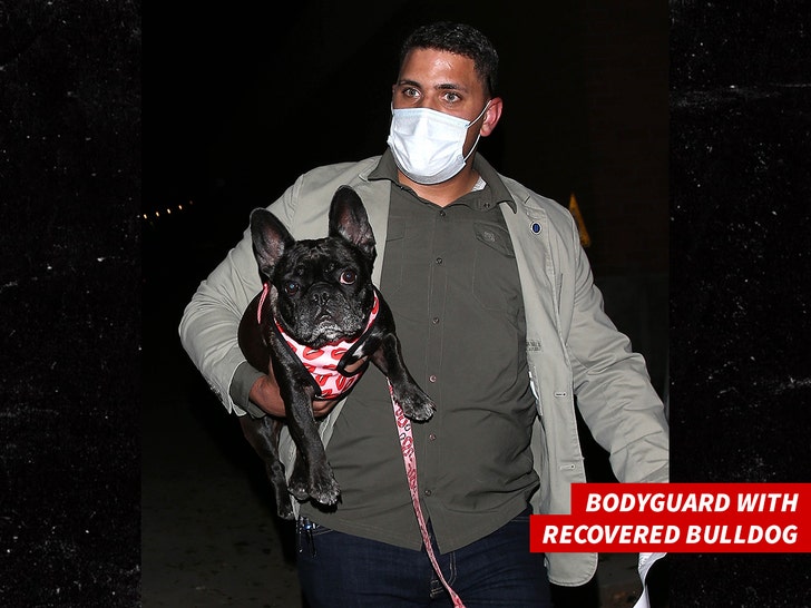 Lady Gaga S Dog Walker Shot 2 Dogs Stolen Gaga Offers 500k Reward