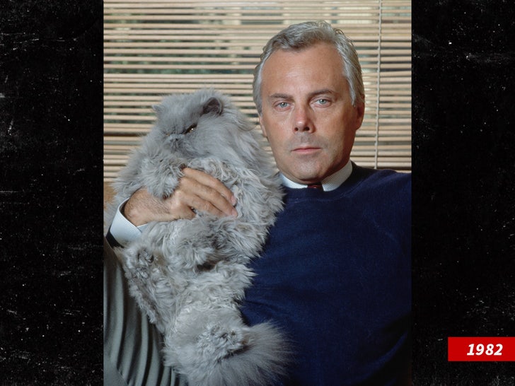 Giorgio Armani sub getty swipe