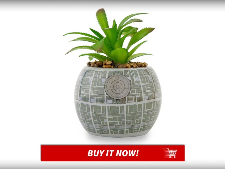 Toynk-Death-Star-Ceramic-Planter-Star-Wars-Day-MAIN