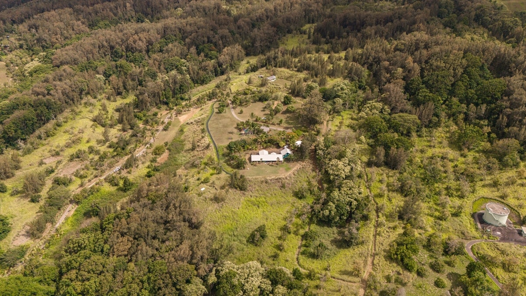 Roseanne Barr Home 8