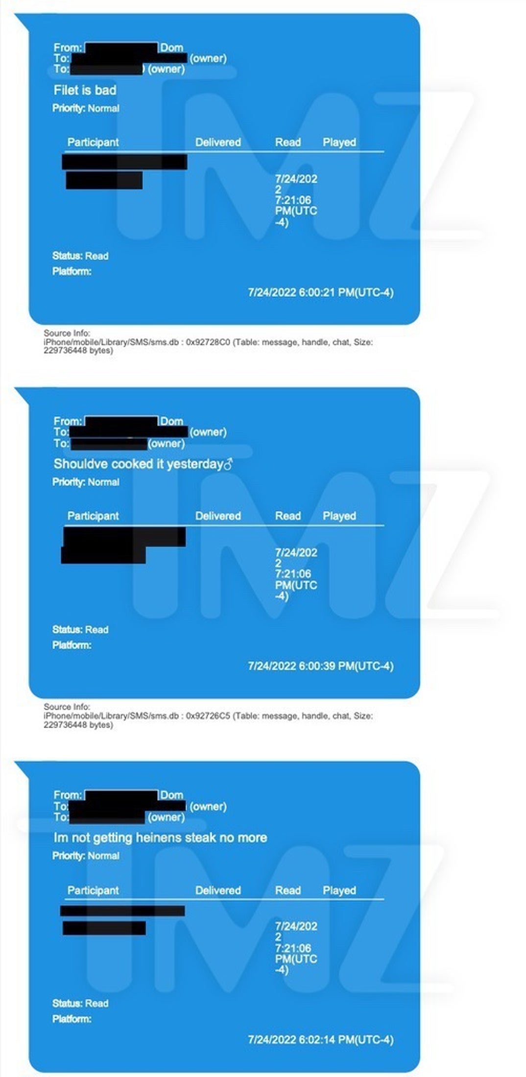 Mackeznie Shirilla Last Texts With Dominic Russo 1
