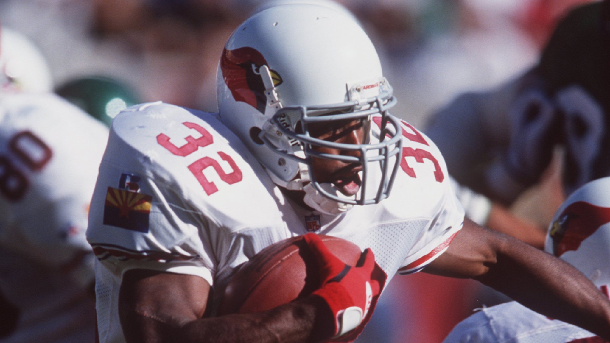 Ex-NFL RB LeShon Johnson Convicted on Dog Fighting Charges, Surrenders 190 Pit Bulls