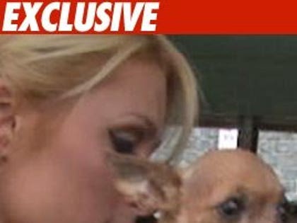 0514_paris_tinkerbell_tmz_ex