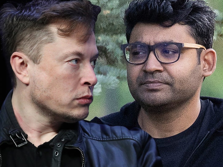 elon musk Parag Agrawal