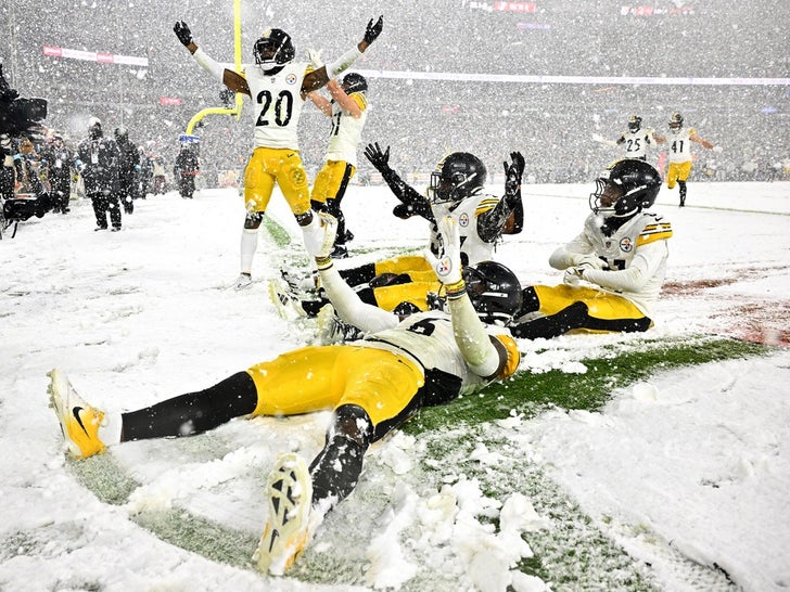 Steelers Vs Browns Snow photos 10