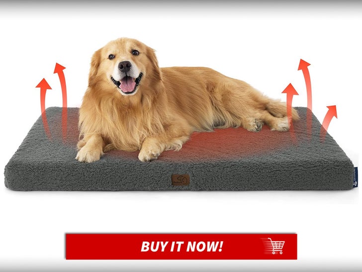 Bedsure-Cooling-Dog-Beds-National-Dog-Day-Deals-MAIN