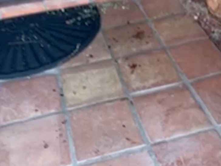 nancy-guthrie-bloed-2-02-03-2026