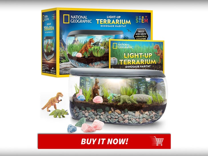 National-Geographic-Light-Up-Dinosaur-Terrarium-Kit-Toys-Kids-Will-Love-MAIN