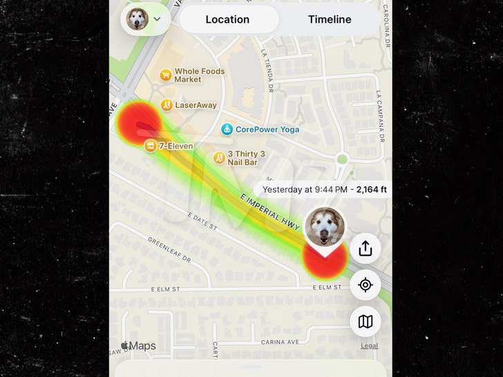missing dog map wm