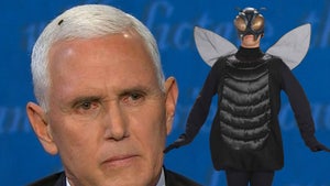 Halloween 'Fly Costume' Sells Out Immediately After VP Debate