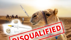 Camels Disqualified from Beauty Pageant for Using Botox