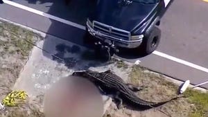 14-Foot Alligator Killed in Florida After Eating Human Torso