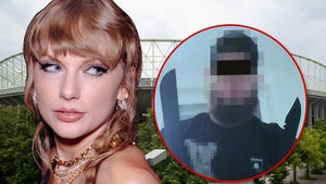 taylor swift vienna suspect main