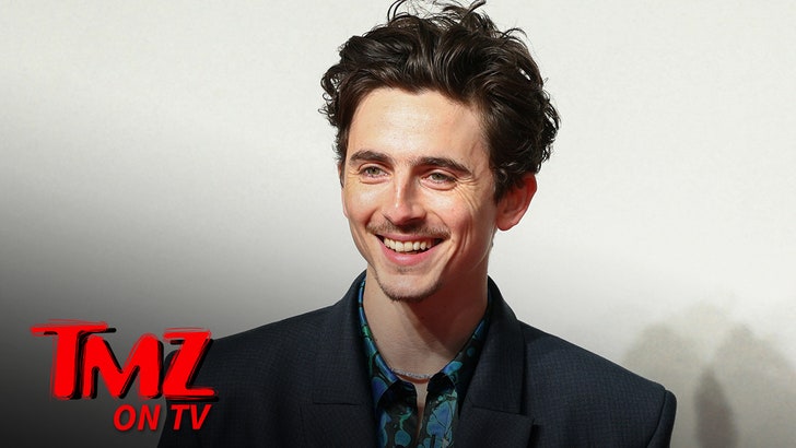 100825_timothee_chalamet_tv_kal