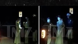 britney-spears-bodycam-primary