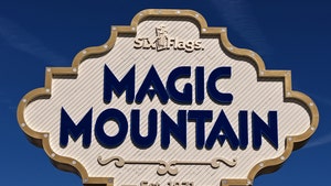 Six Flags Magic Mountain getty 1