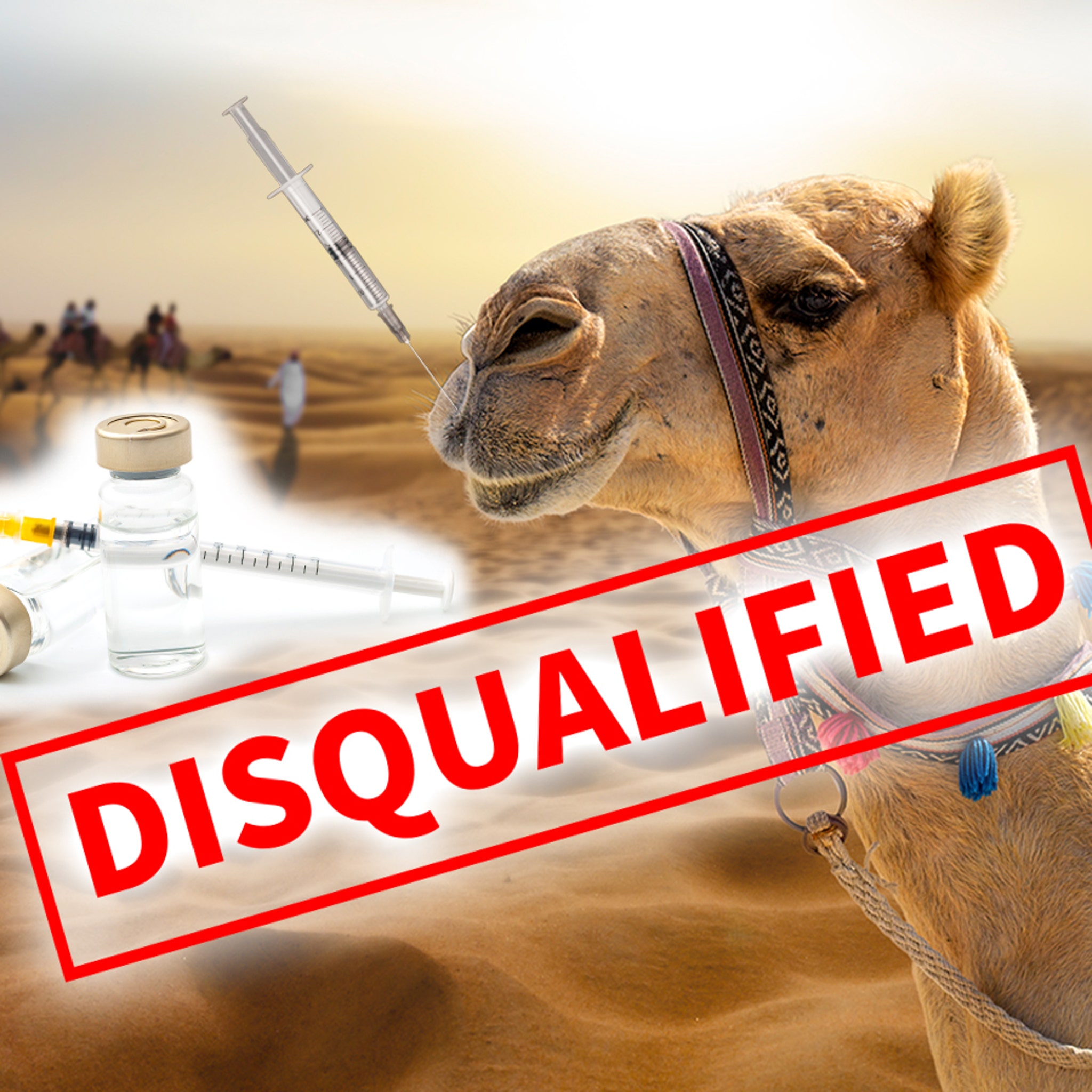 Camel Beauty Pageant Crackdown, 40 Contestants Busted for Botox in Saudi  Arabia