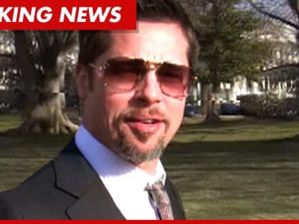 1010_brad_pitt_tmz_bn