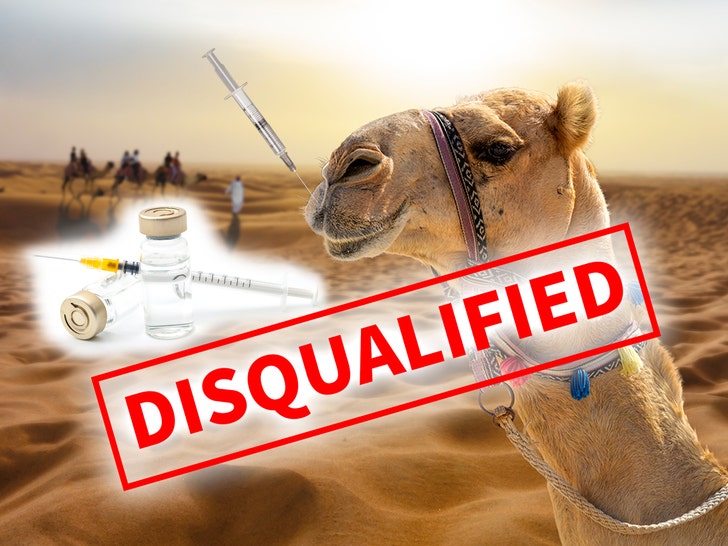 Camels Disqualified from Beauty Pageant for Using Botox