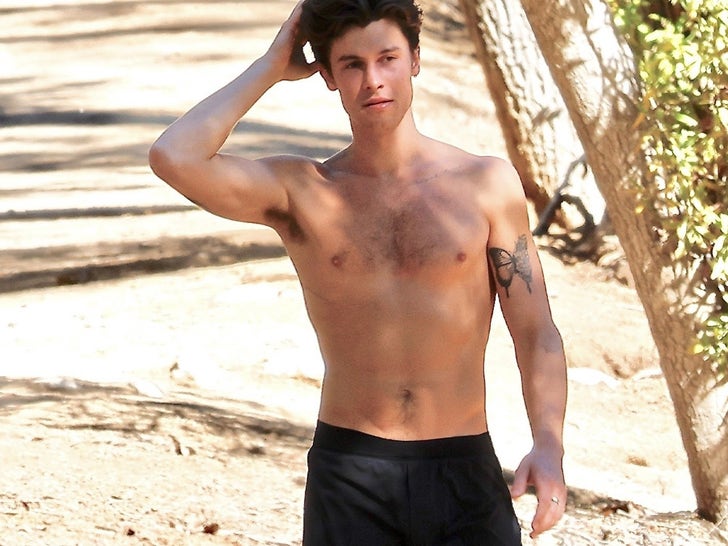 d285a3de53914b6192b08d545168fe59_md Shawn Mendes Shows Off Body On Shirtless Hike