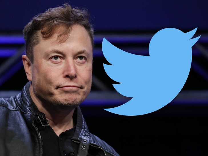 Elon Musk Says Twitter Hit All-Time High During Shutdown Panic