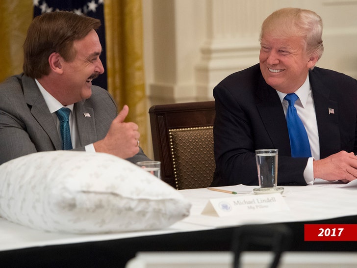 Mike Lindell donald trump
