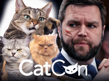 cat con jd vance main