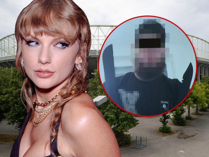 taylor swift vienna suspect main