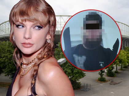 taylor swift vienna suspect main