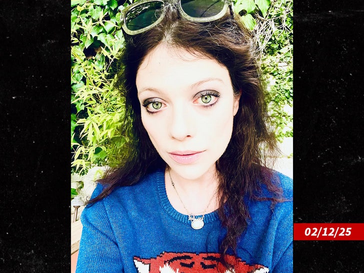 michelletrachtenberg instagram sub swipe