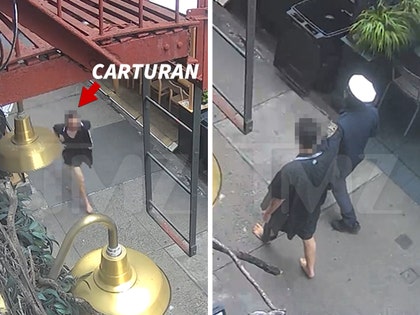 Michael Valentino Teofrasto Carturan