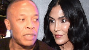 Dr. Dre's Estranged Wife Takes Aim at Alleged Mistresses Over Money