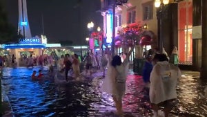 Disney World's Hollywood Studios Floods As Guests Try to Get Around