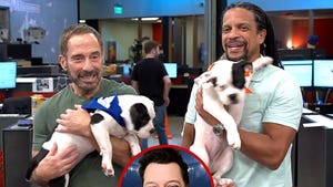 020626_puppy_bowl_live_primary