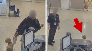 021826_woman_abandons_dog_primary