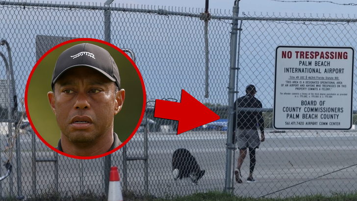051426 tiger woods kal
