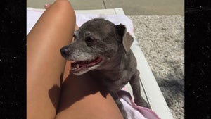 0630-Kelsey-Calemine-Hot-Dog-Legs-PRIMARY