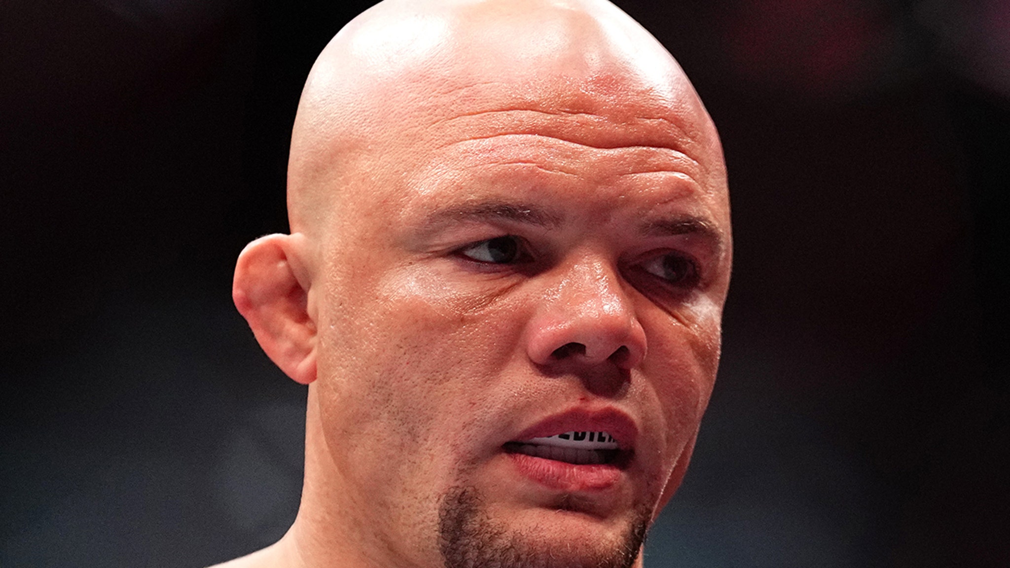 Anthony Smith Allegedly Threatened To Kill Wife During Fight