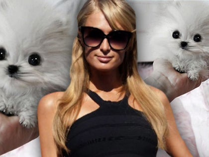 091214_tv_paris_hilton_primary