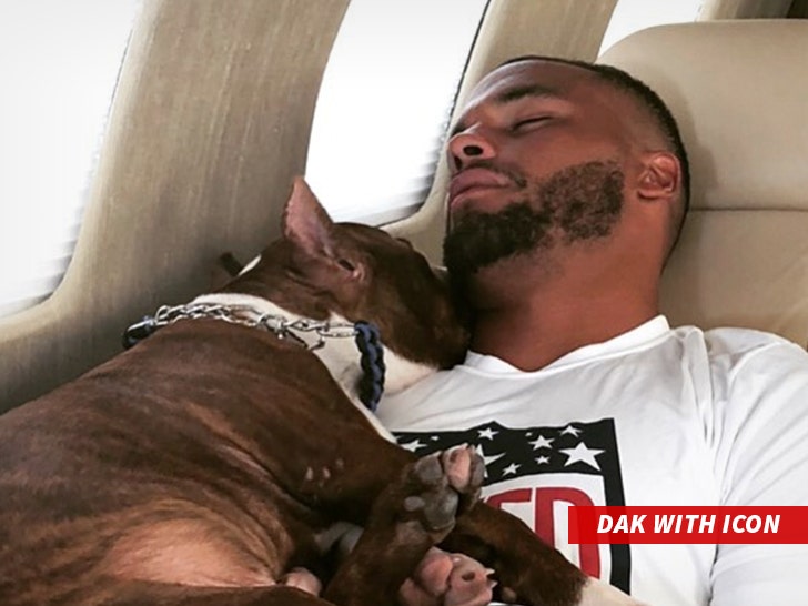 Dak Prescott's Dog Stars In Commercial Four Years After Neighbor Attack