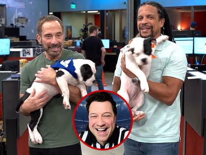 020626_puppy_bowl_live_primary