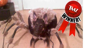 TMZ's Doggie Dress Up Contest -- WINNER!