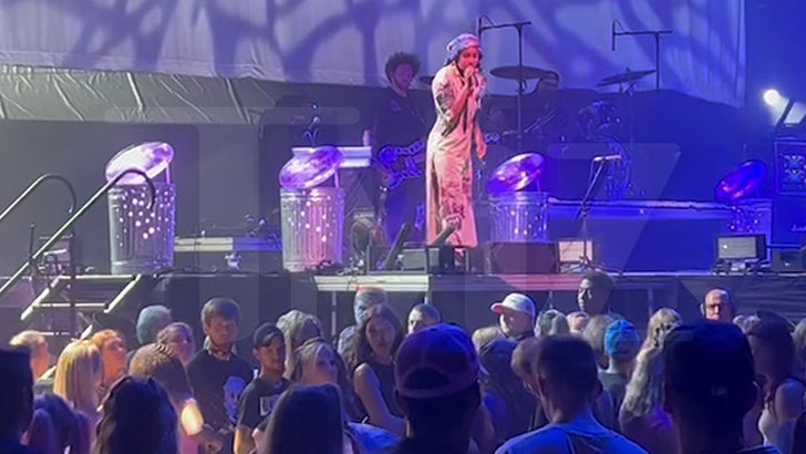 Willow Smith Stops Show After Fan Faints in Crowd, Video.jpg