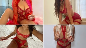 Red-Hot Lingerie Ladies -- Guess Who!